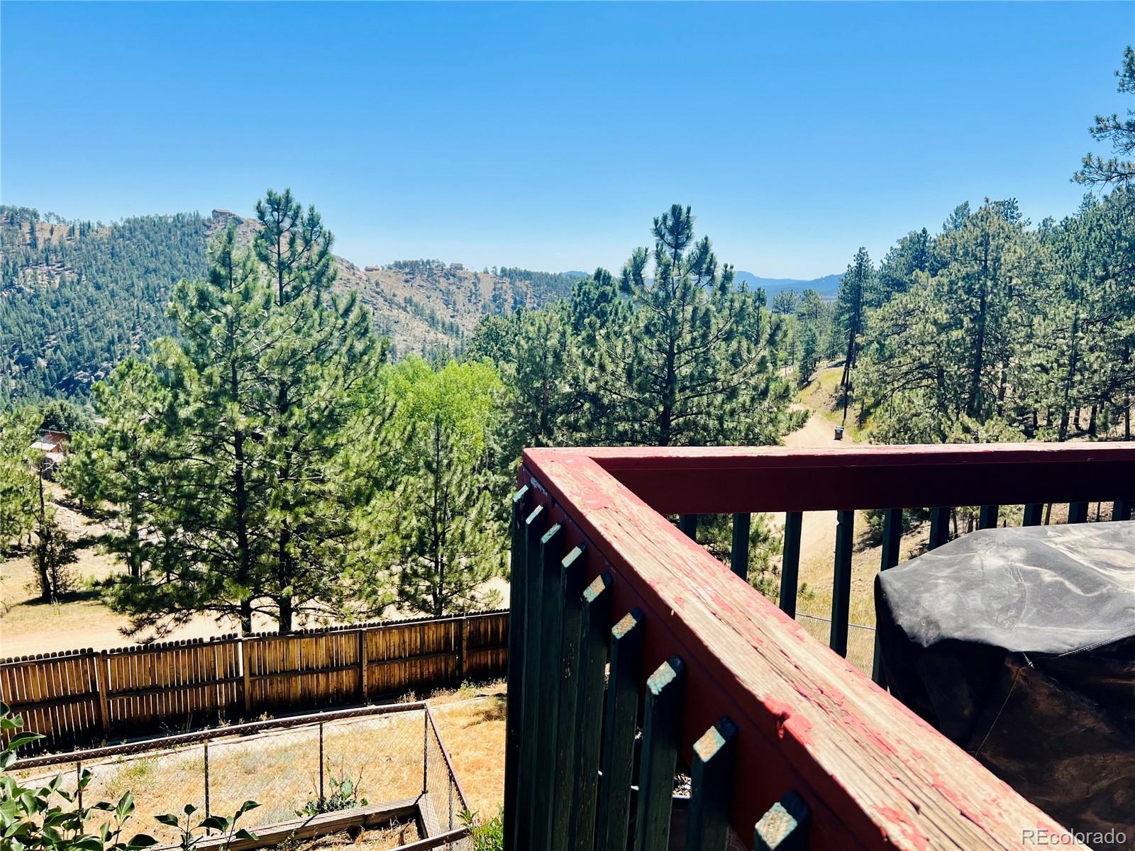 362 Raven Dr, Bailey, CO 80421