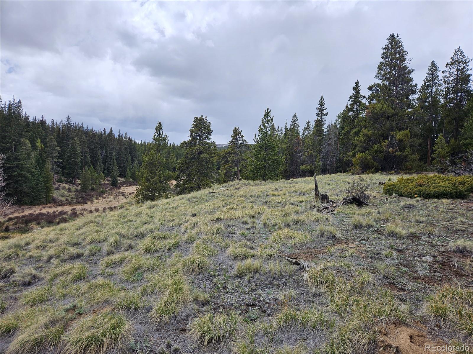700 Looney Ln, Alma, CO 80420
