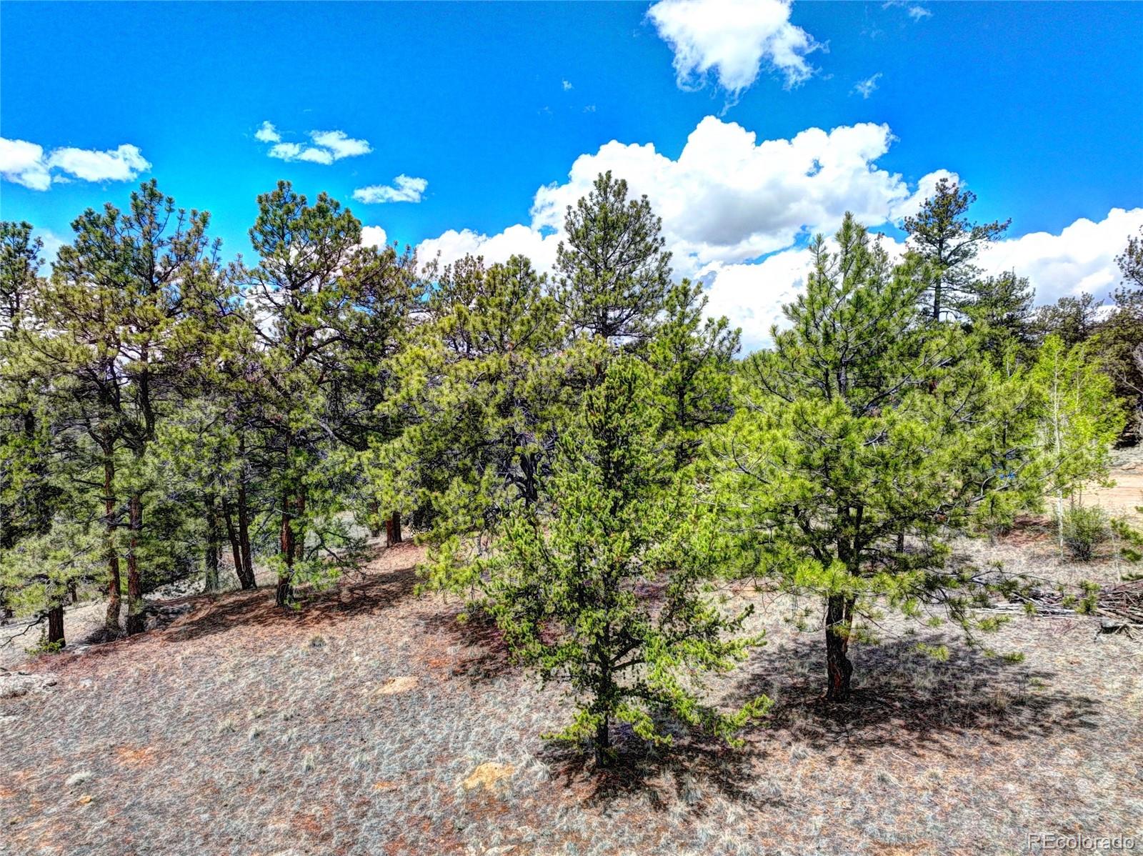 00 York Ct, Jefferson, CO 80456
