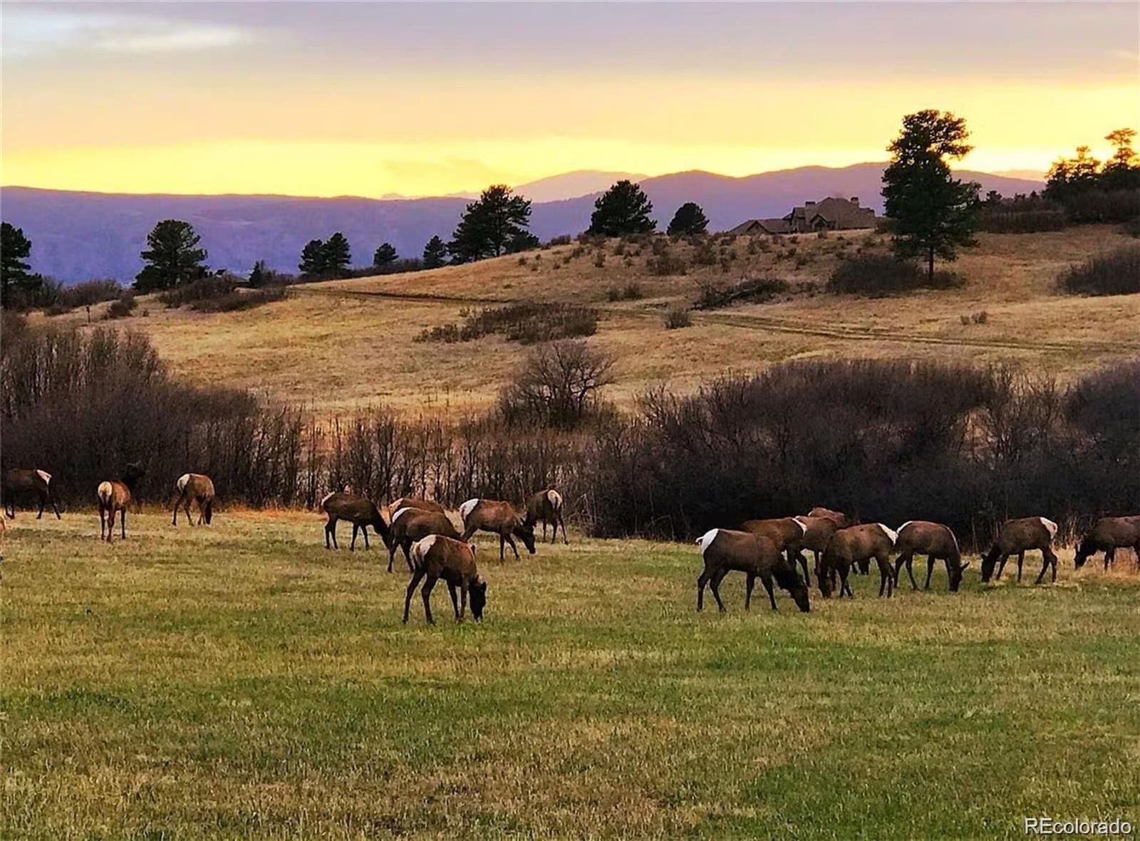3208 Country Club Pw, Castle Rock, CO 80108