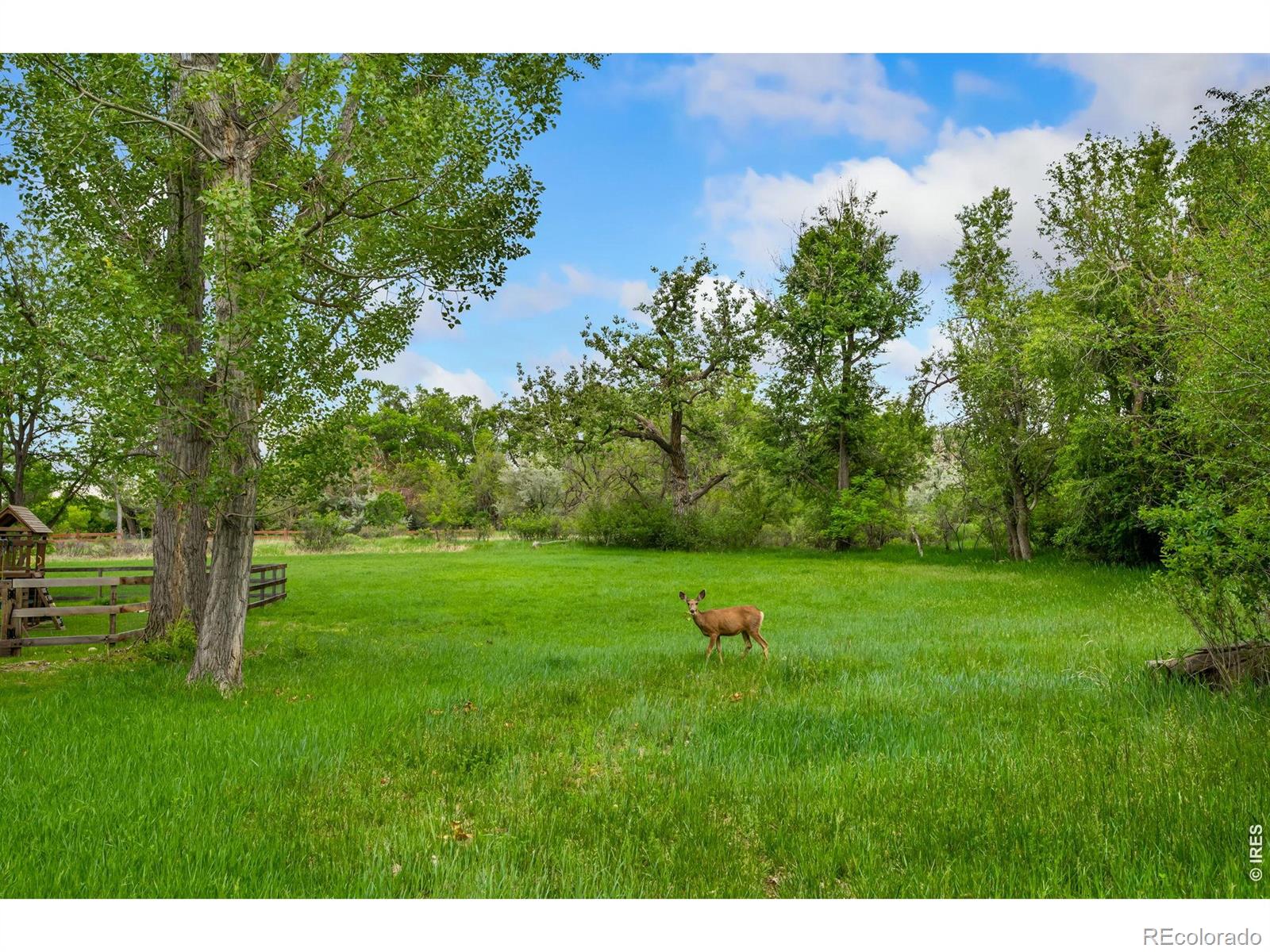 800 Grove Ct, Loveland, CO 80537