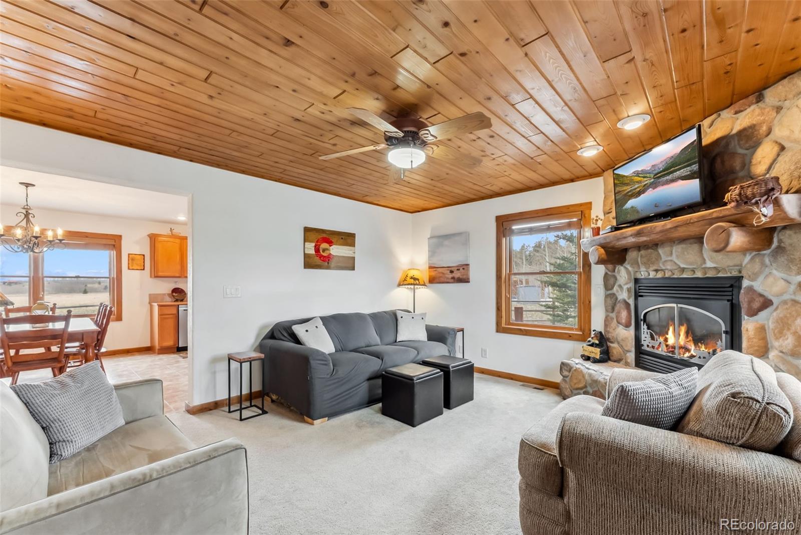 268 Fuller Dr #B, Fairplay, CO 80440