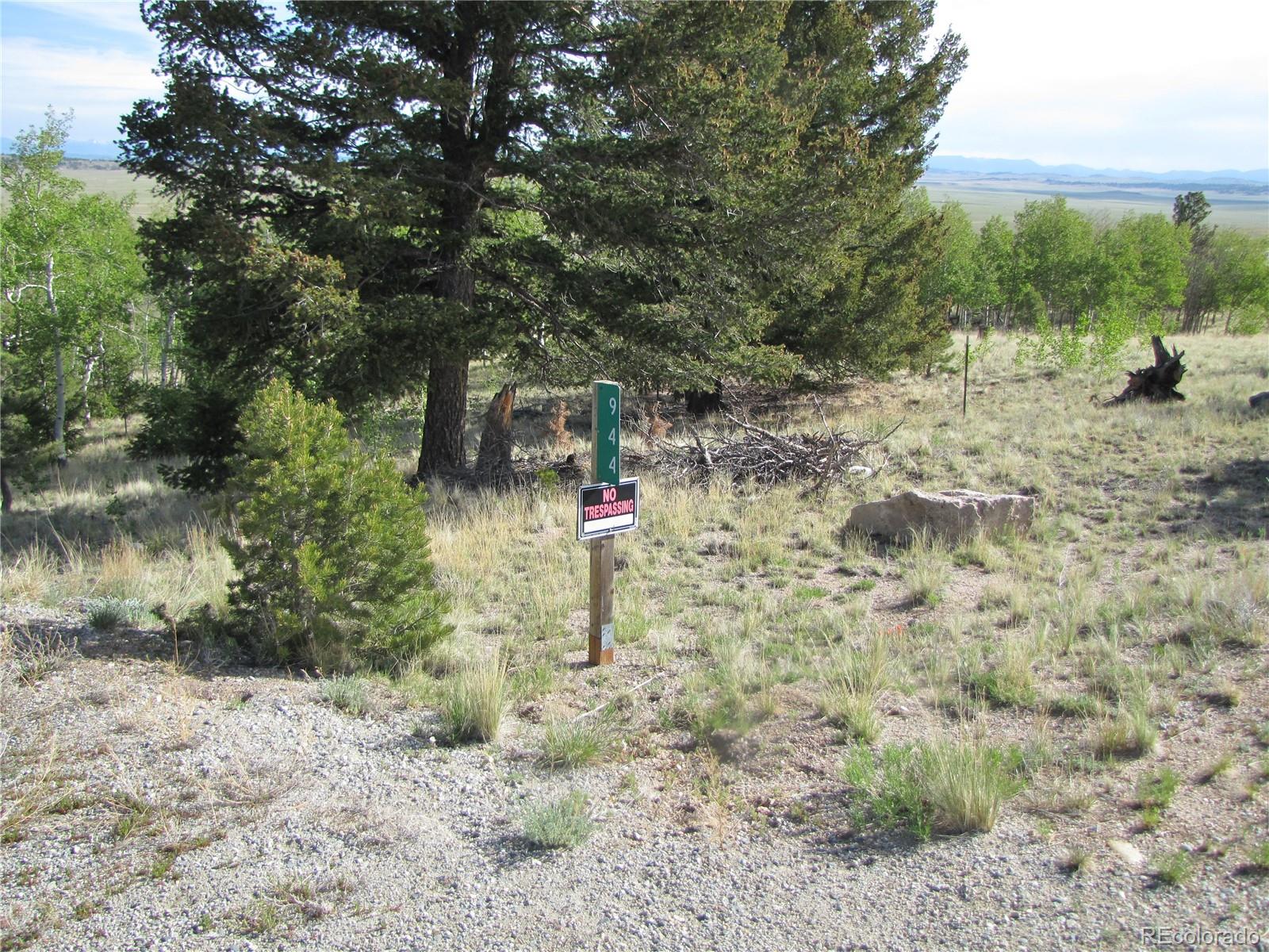 944 Brahma Cir, Hartsel, CO 80449
