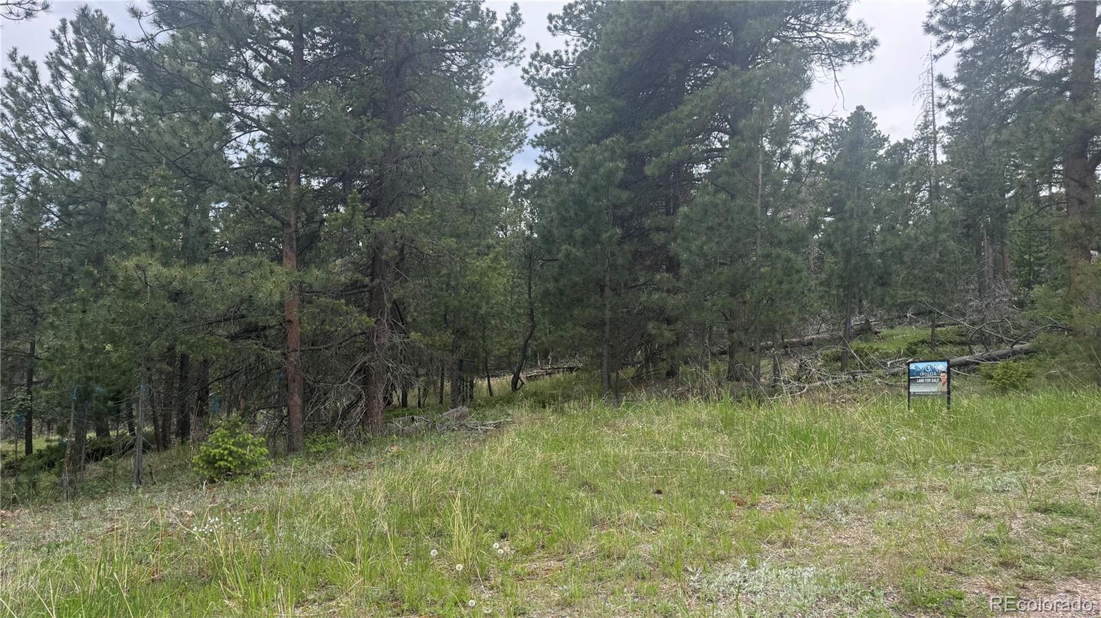 717 Crescent Lake Rd, Golden, CO 80403