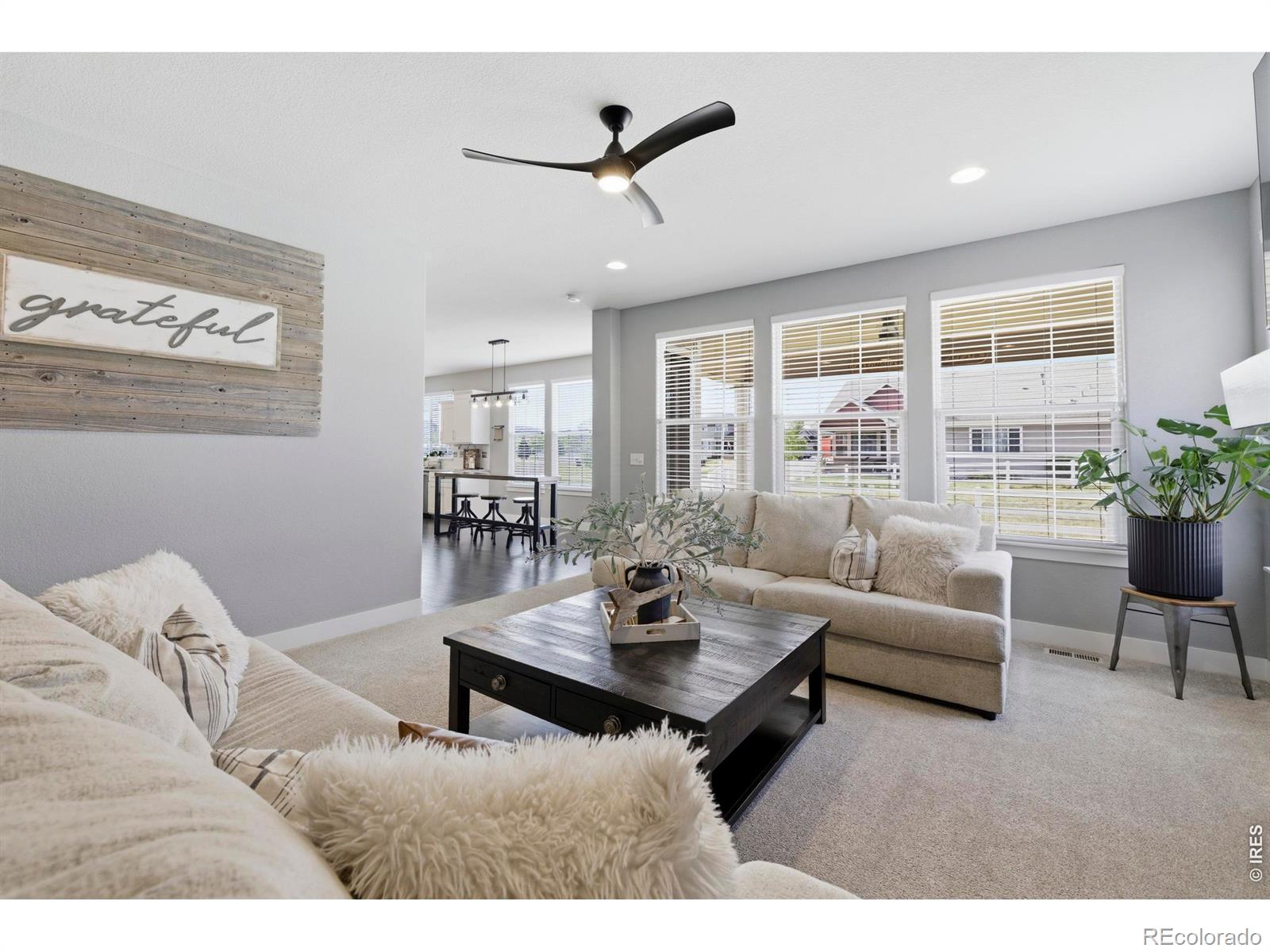 610 Gore Range Dr, Severance, CO 80550