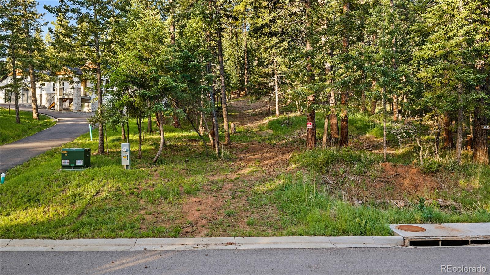 8125 Bannock Dr, Larkspur, CO 80118