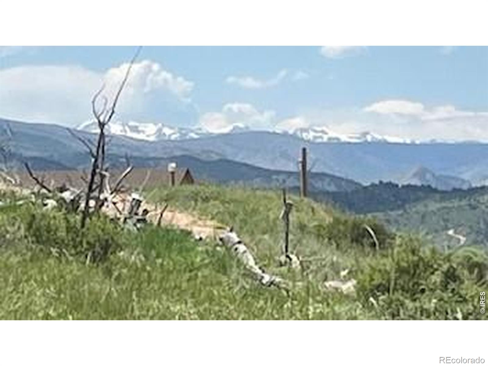 598 Mount Mcconnell Dr, Livermore, CO 80536