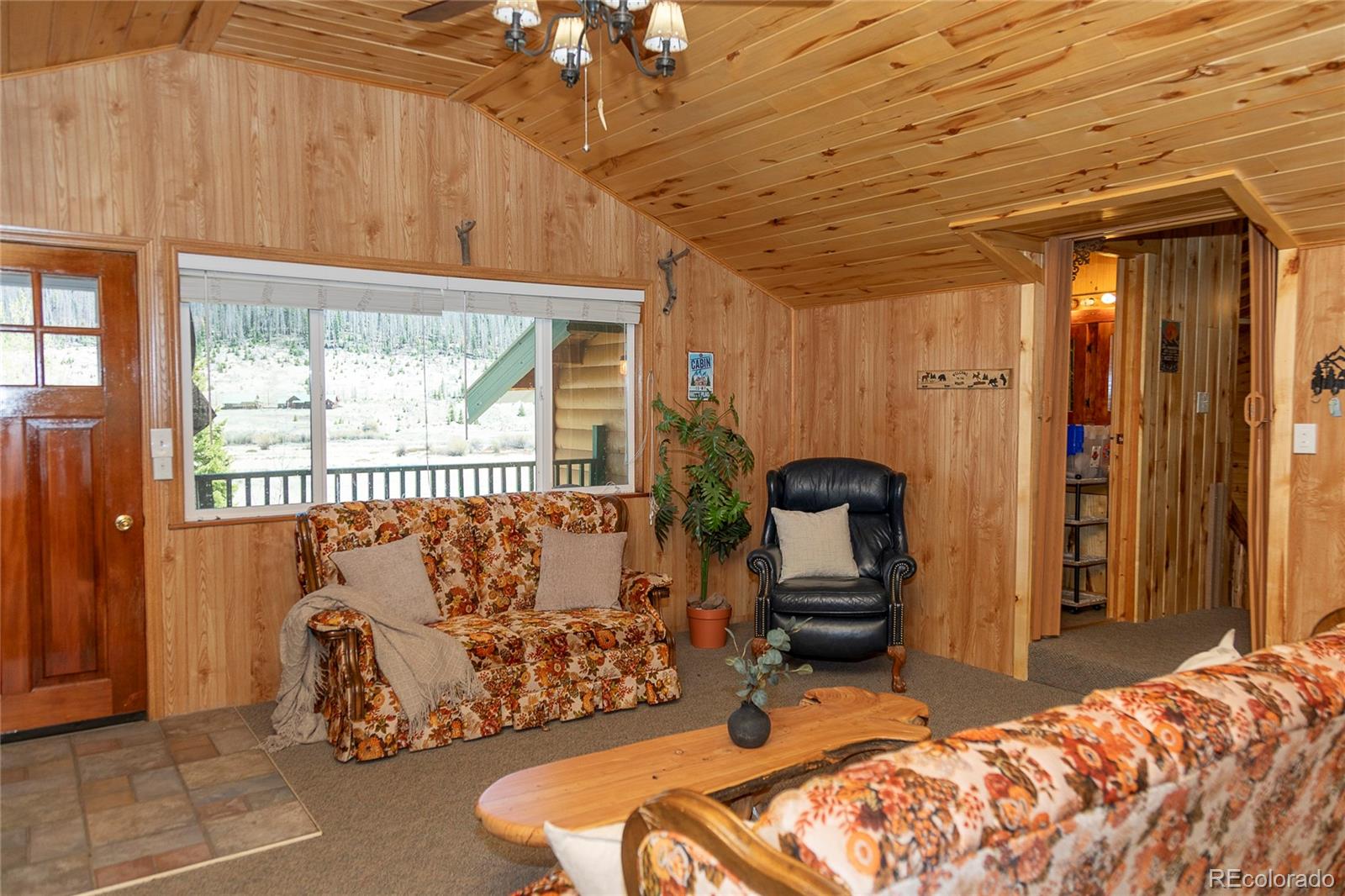 4100 Usfs Rd 515 #460, Creede, CO 81130