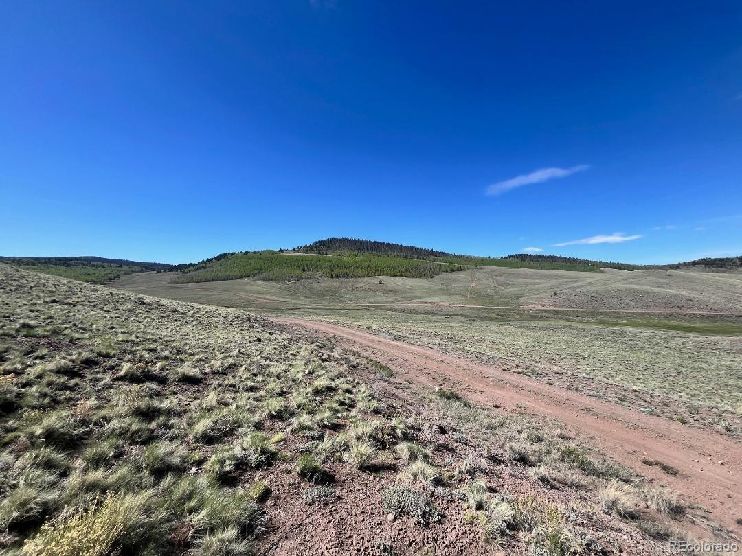 110 Watonga Rd, Guffey, CO 80449