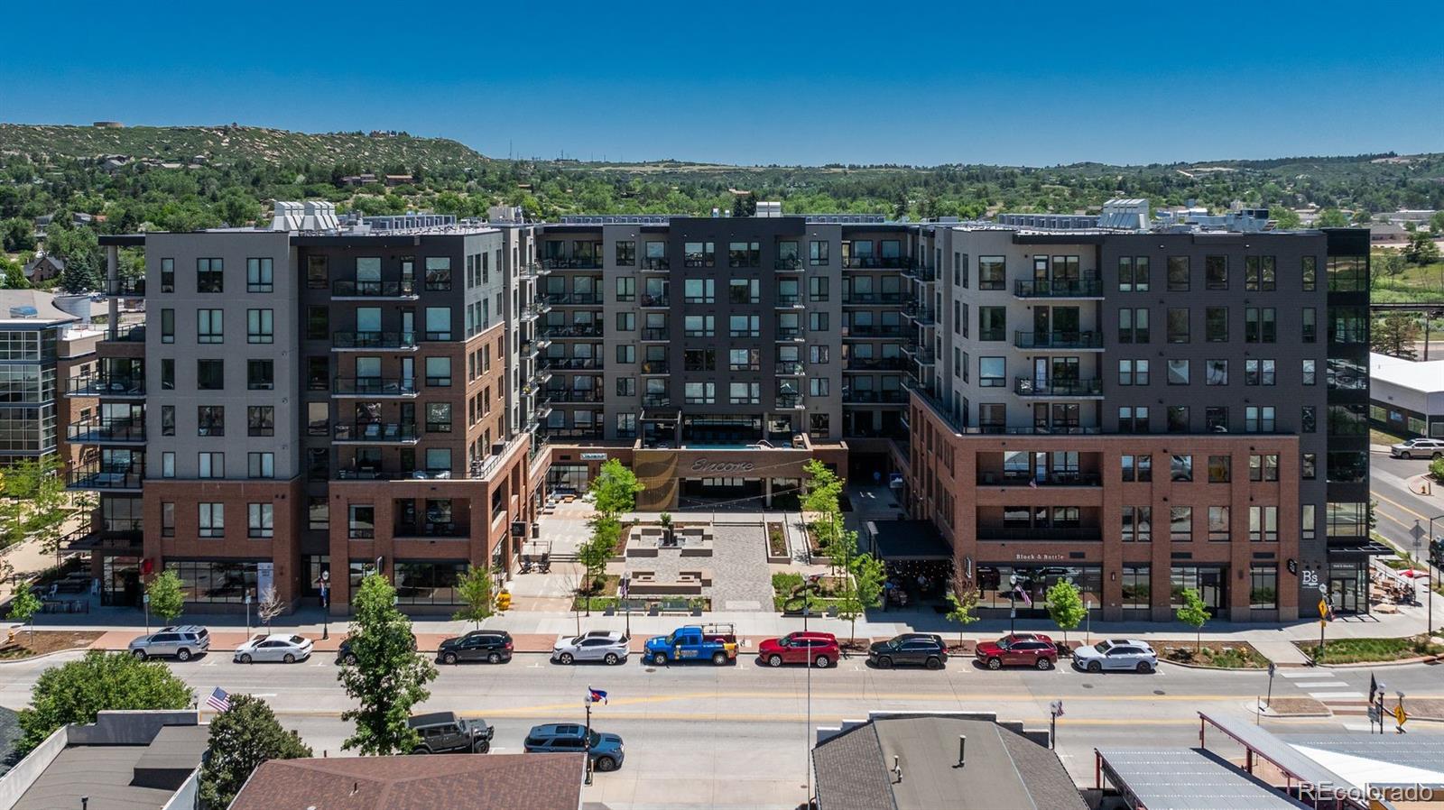 20 Wilcox St #314, Castle Rock, CO 80104