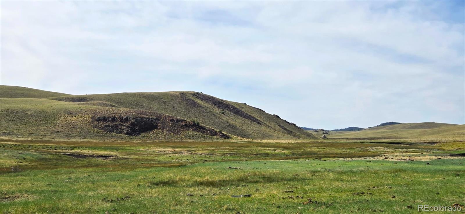 209 Watonga Trl, Hartsel, CO 80449