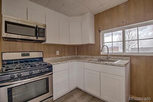138 E 4th St, Leadville, CO 80461