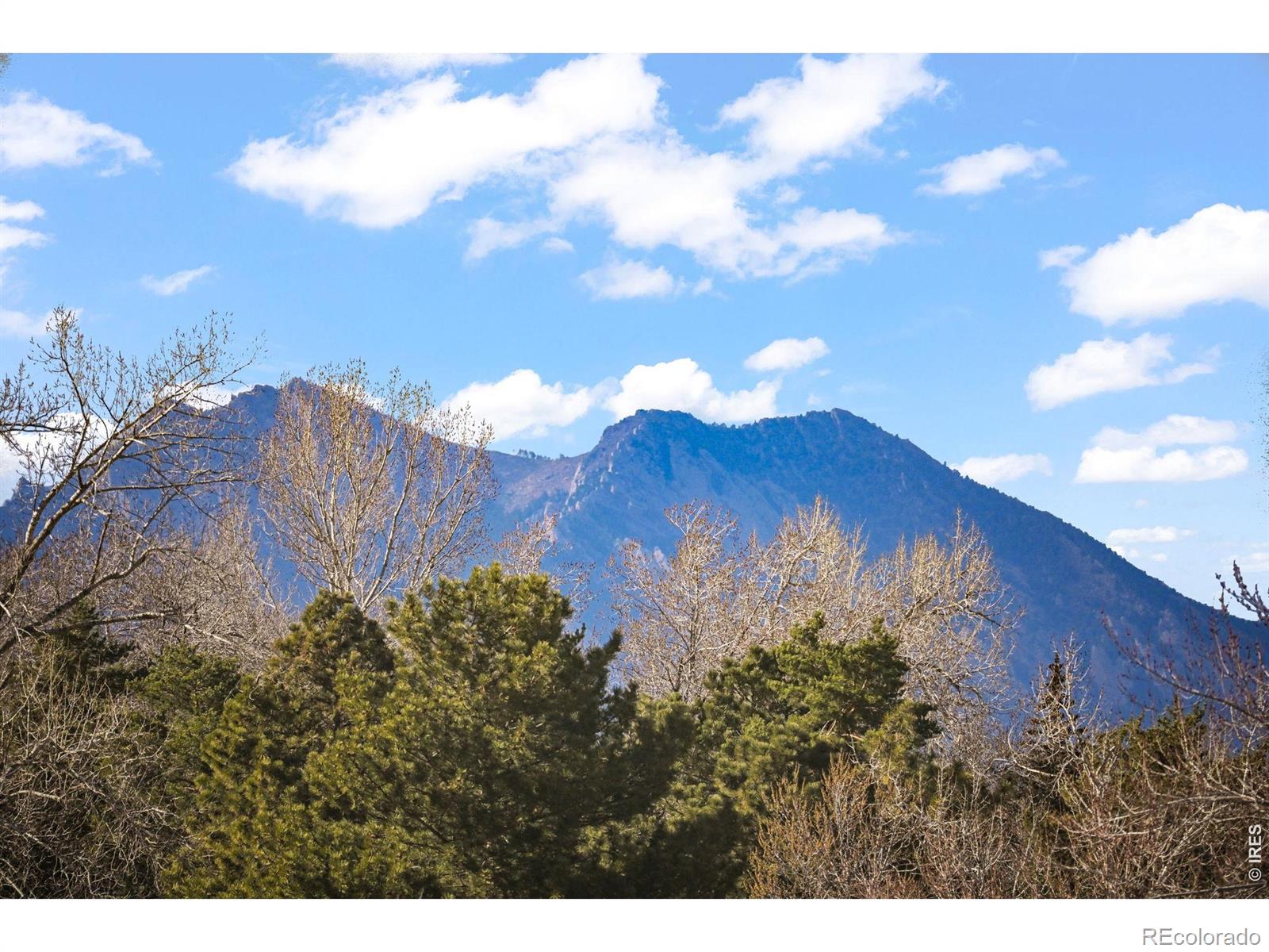 10213 W 80th Dr #B, Arvada, CO 80005