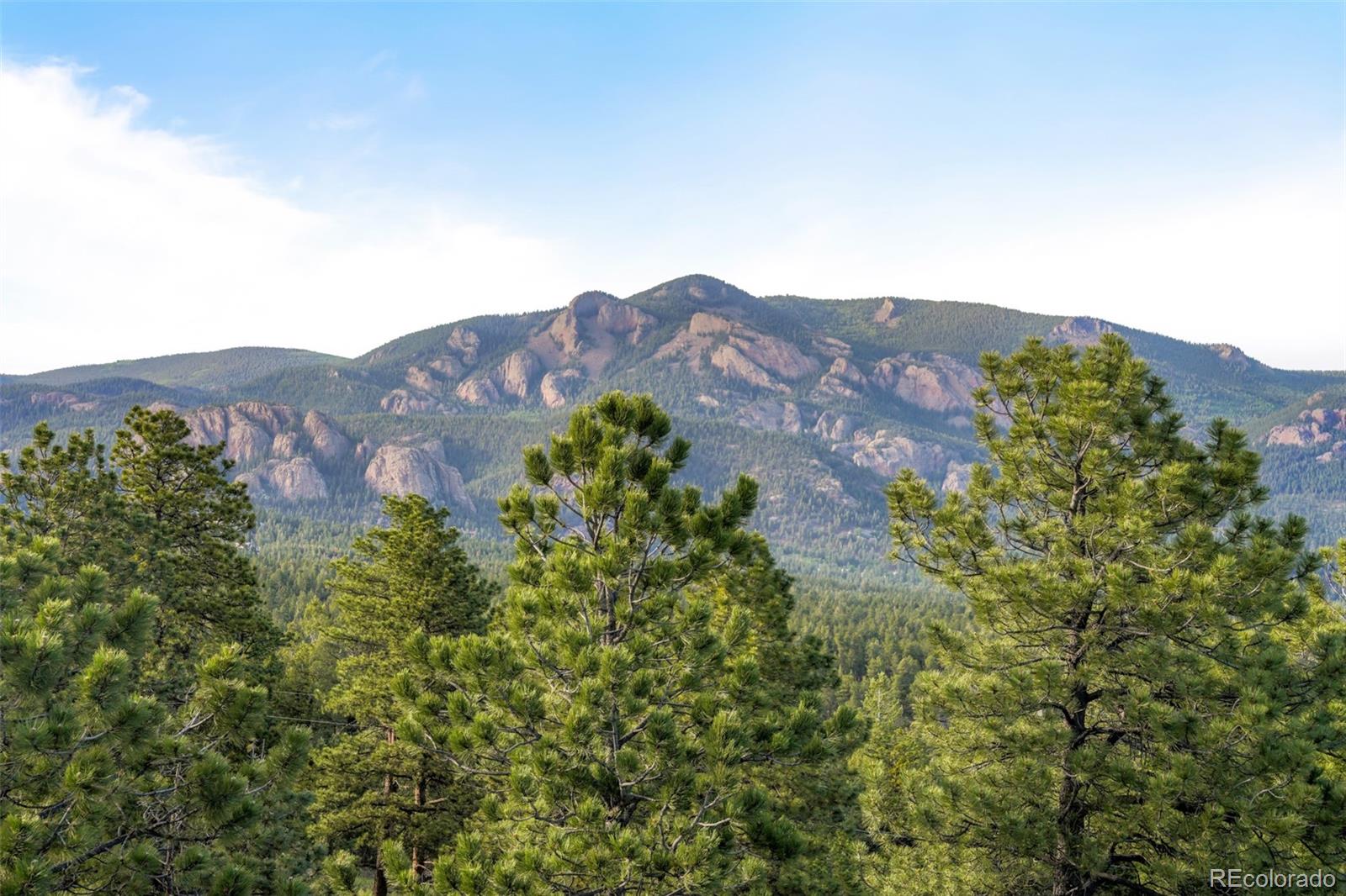 229 Mohawk Trl, Pine, CO 80470
