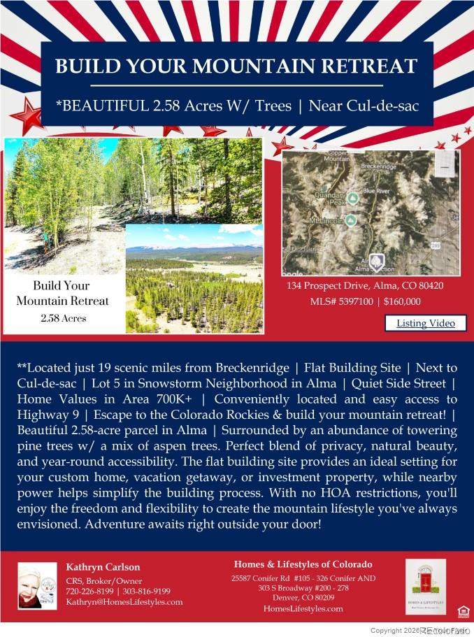 134 Prospect Dr Lot 5, Alma, CO 80420