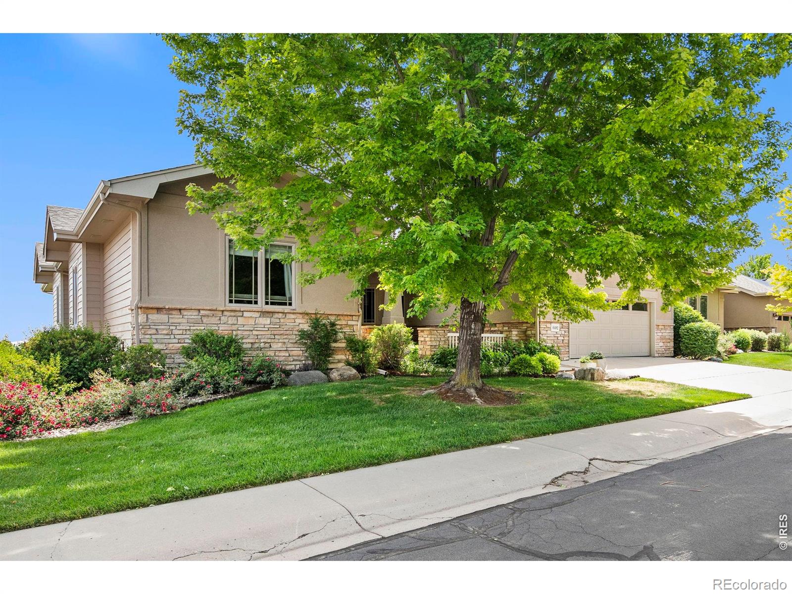 6482 Half Moon Bay Dr, Windsor, CO 80550