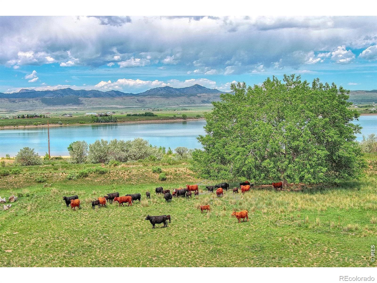 7481 N County Road 15, Fort Collins, CO 80524