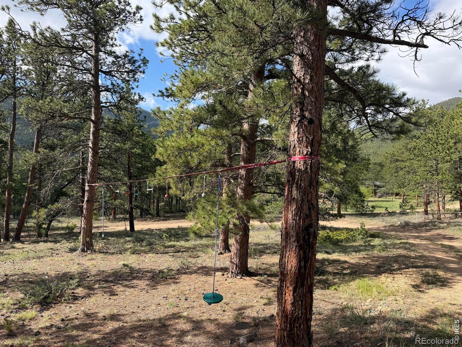 270 E Ski Rd, Allenspark, CO 80510