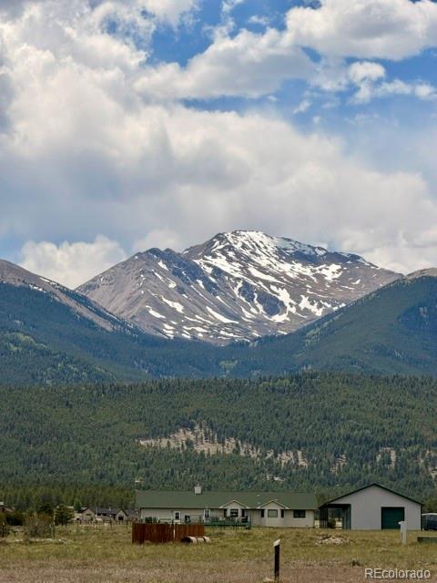 17550 Pony Rn, Buena Vista, CO 81211