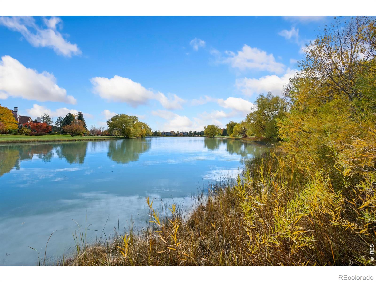 3701 Bald Eagle Ln, Fort Collins, CO 80528