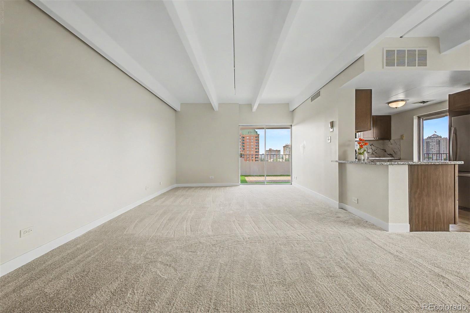 130 N Pearl St #1103, Denver, CO 80203