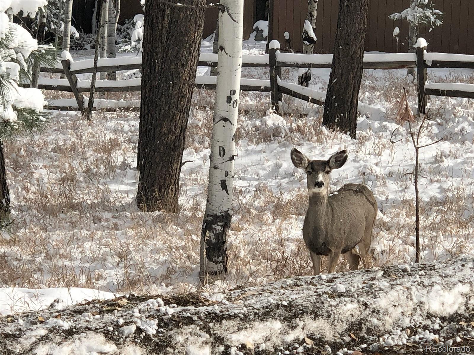 4805 County Road 72, Bailey, CO 80421