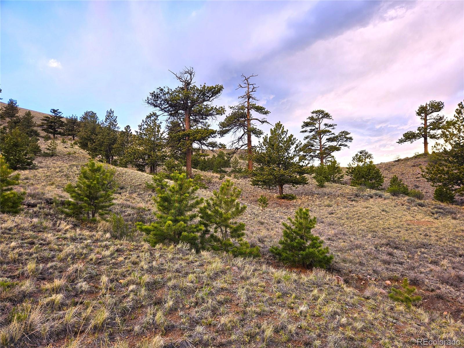 0 Yuma Rd Lot 6231, Hartsel, CO 80449