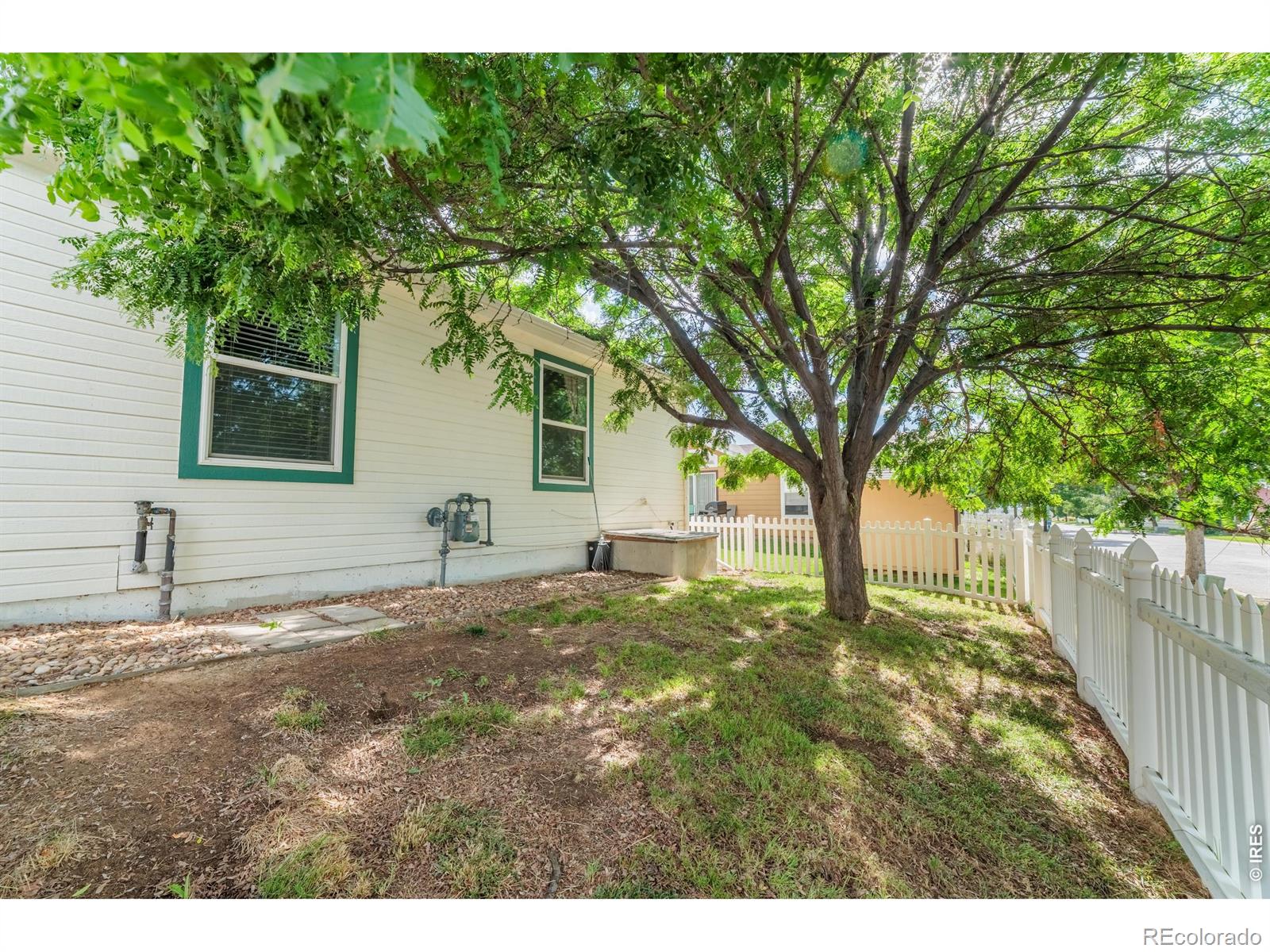 7805 Sunflower Green, Frederick, CO 80530