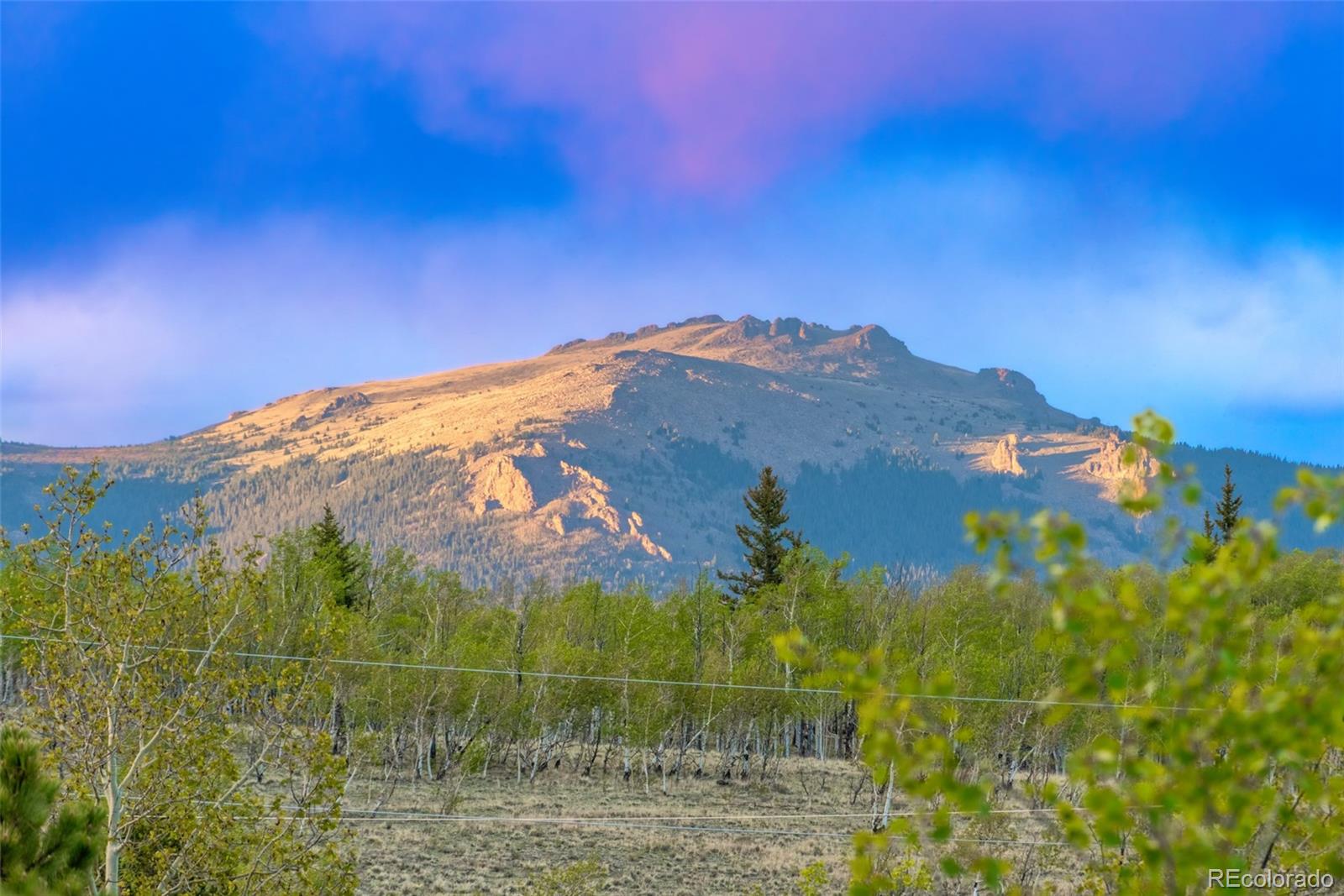 847 Palomino Rd, Jefferson, CO 80456
