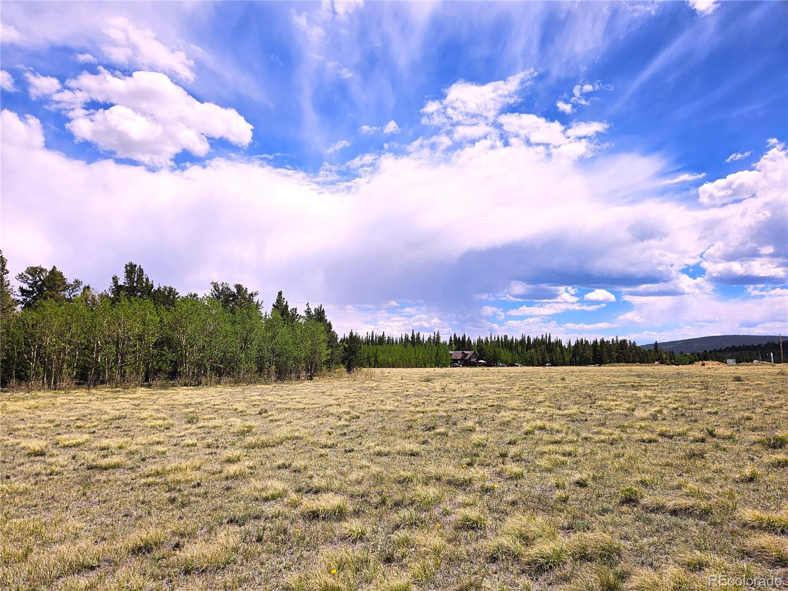 0 Foxtail Dr Lot 142, Fairplay, CO 80440