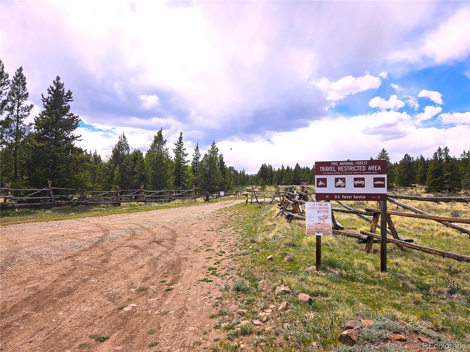 0 Foxtail Dr Lot 142, Fairplay, CO 80440