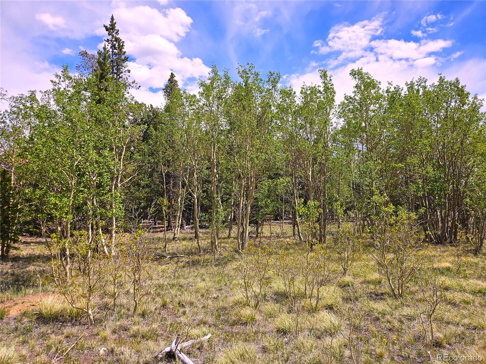 0 Foxtail Dr Lot 142, Fairplay, CO 80440