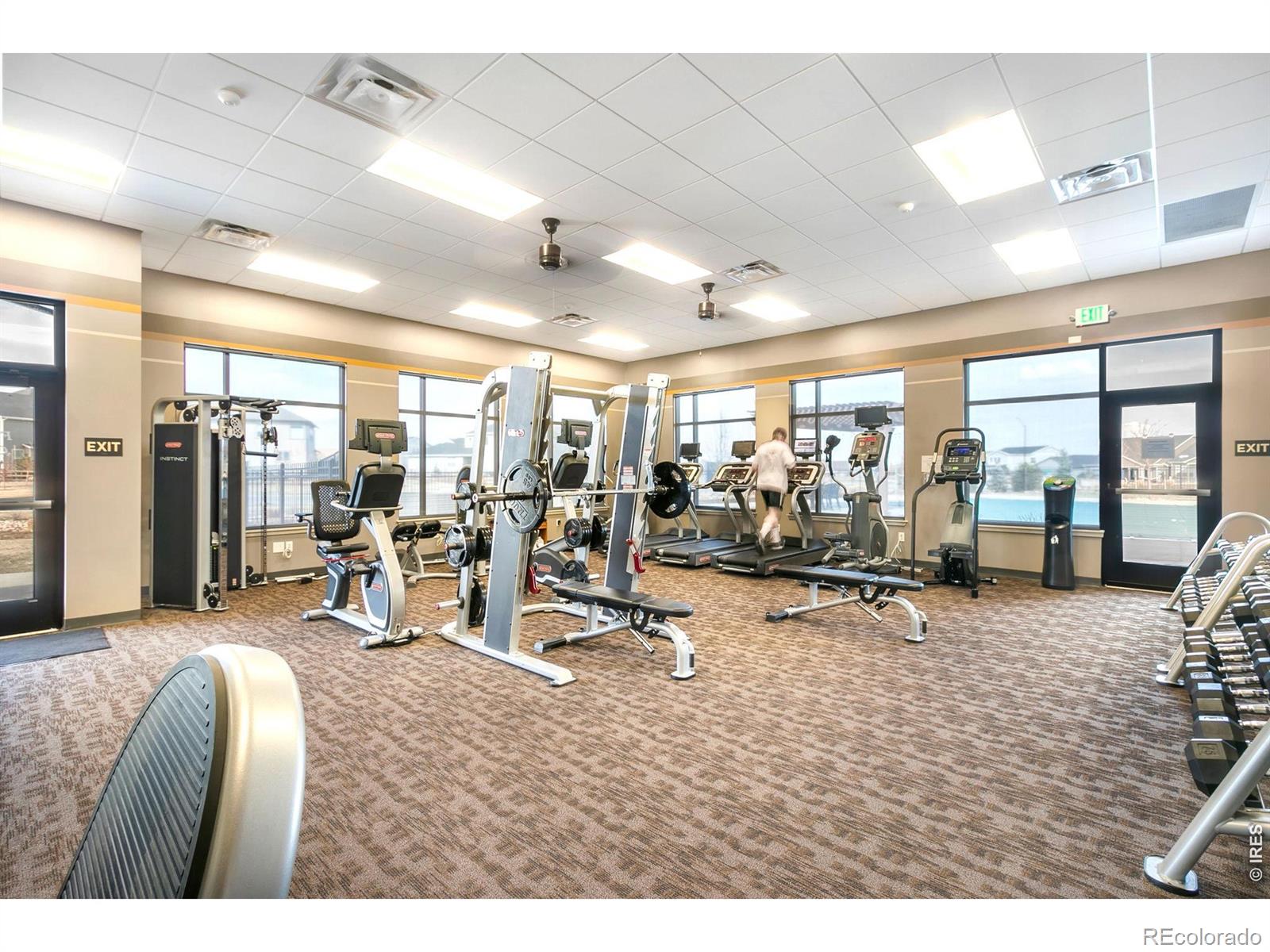 5933 Fall Harvest Way, Fort Collins, CO 80528