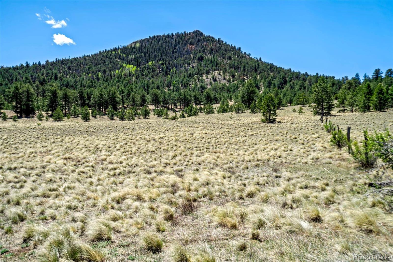 0 Roan Trl, Guffey, CO 80820