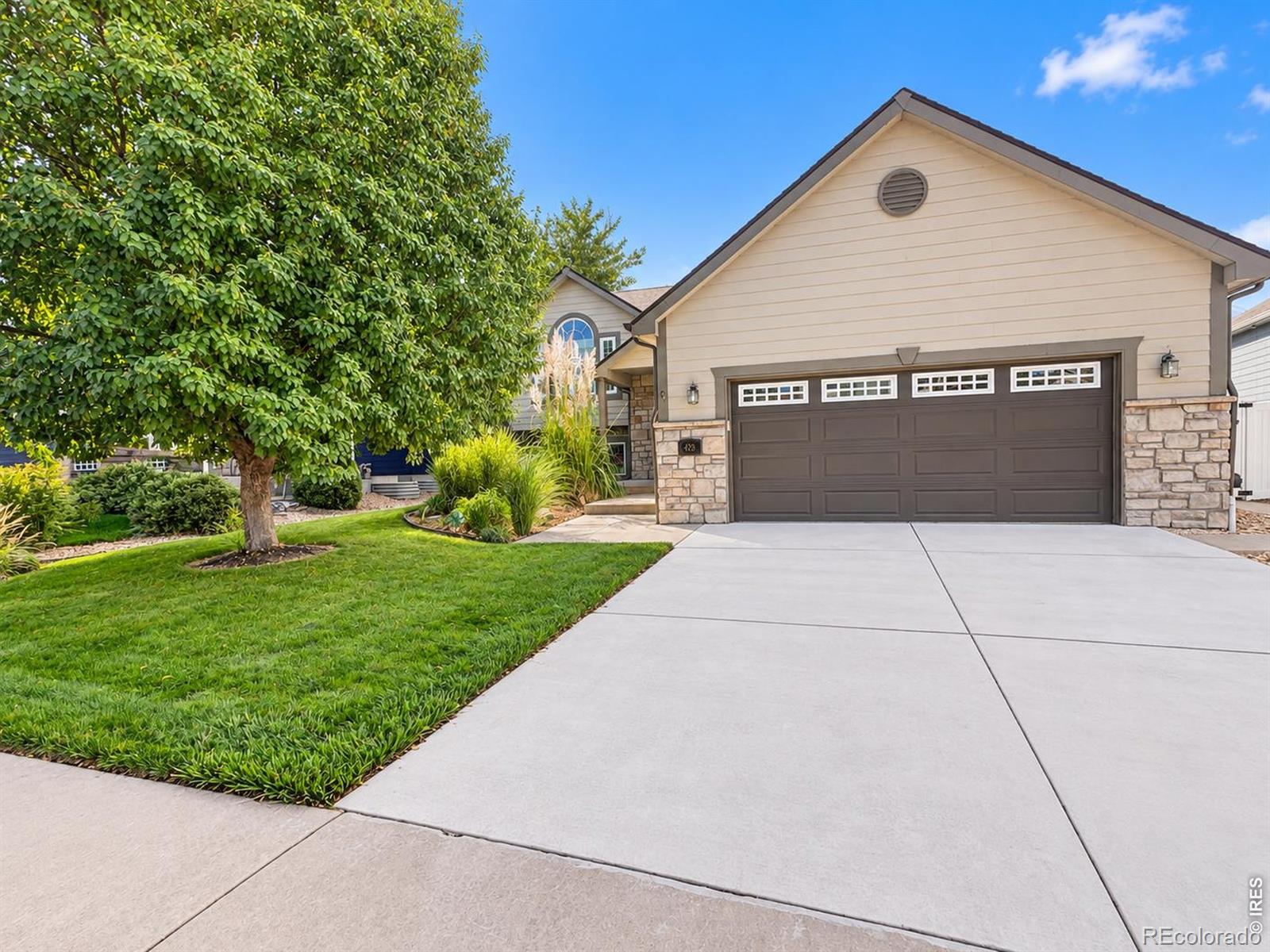 428 Wind River Dr, Windsor, CO 80550