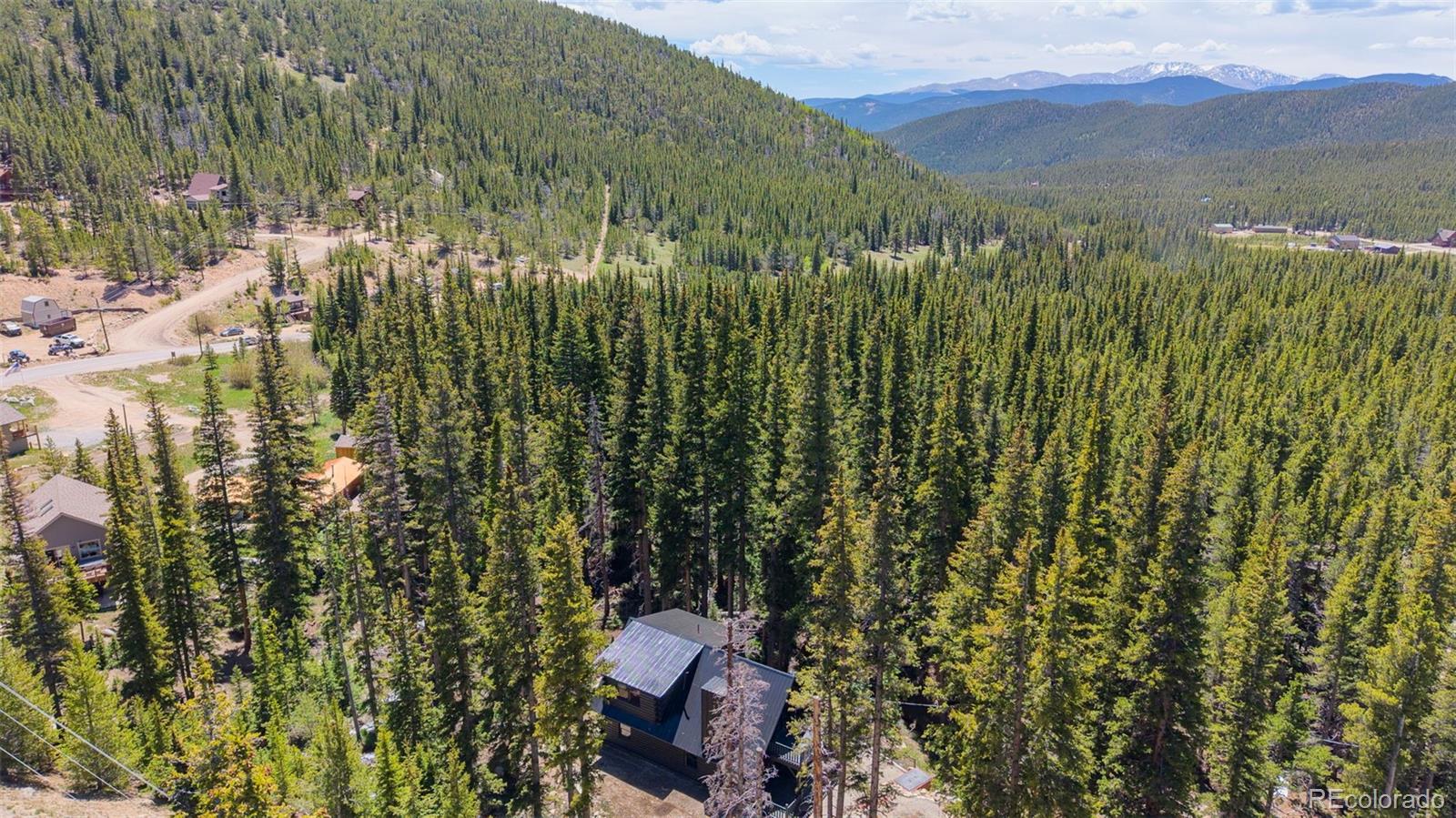 46 Silver Creek Rd, Idaho Springs, CO 80452