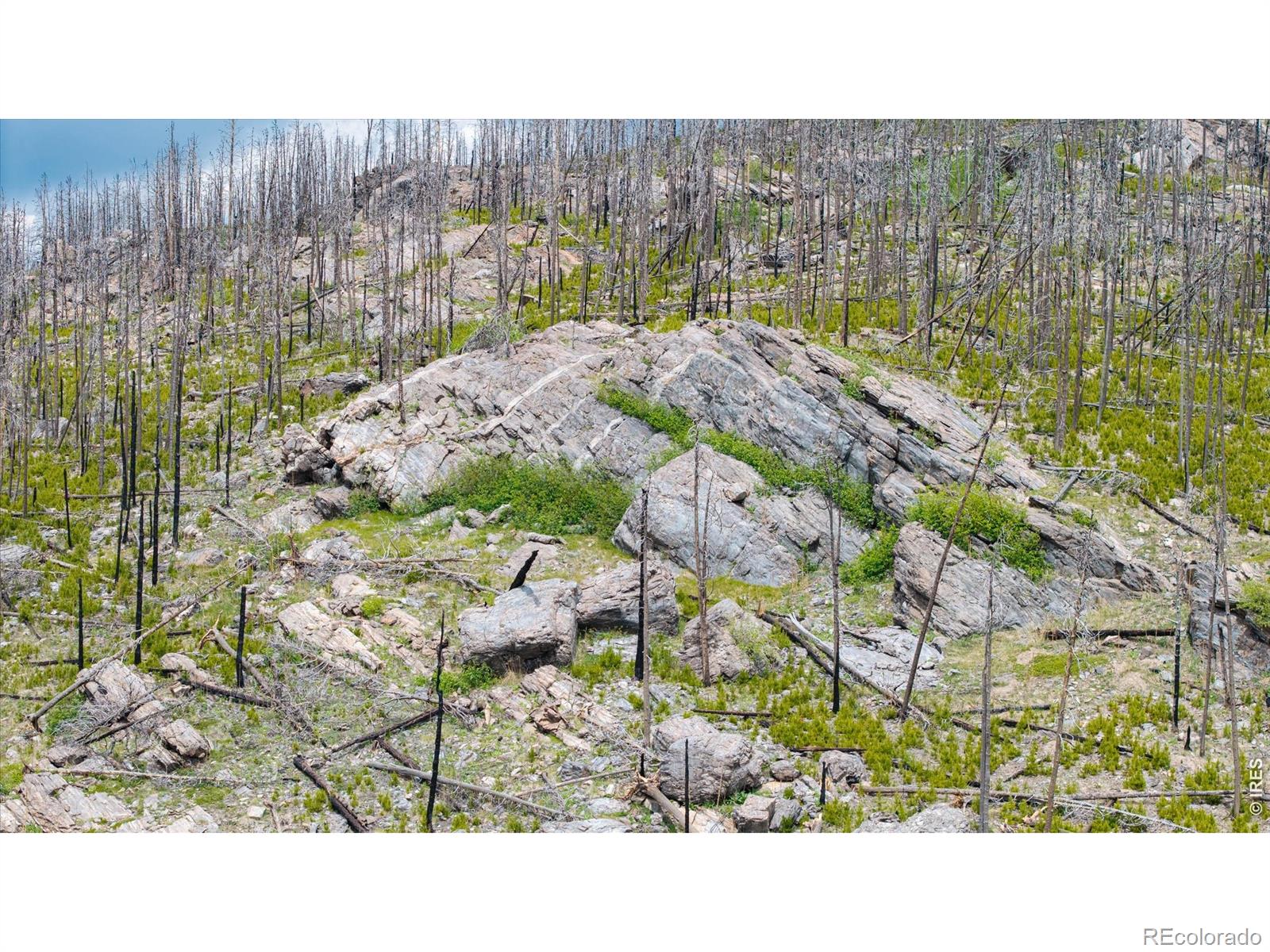 30 Sheep Horn Ct, Bellvue, CO 80512