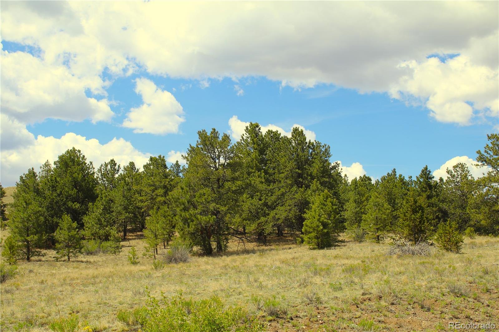 60 Hill Rd, Hartsel, CO 80449