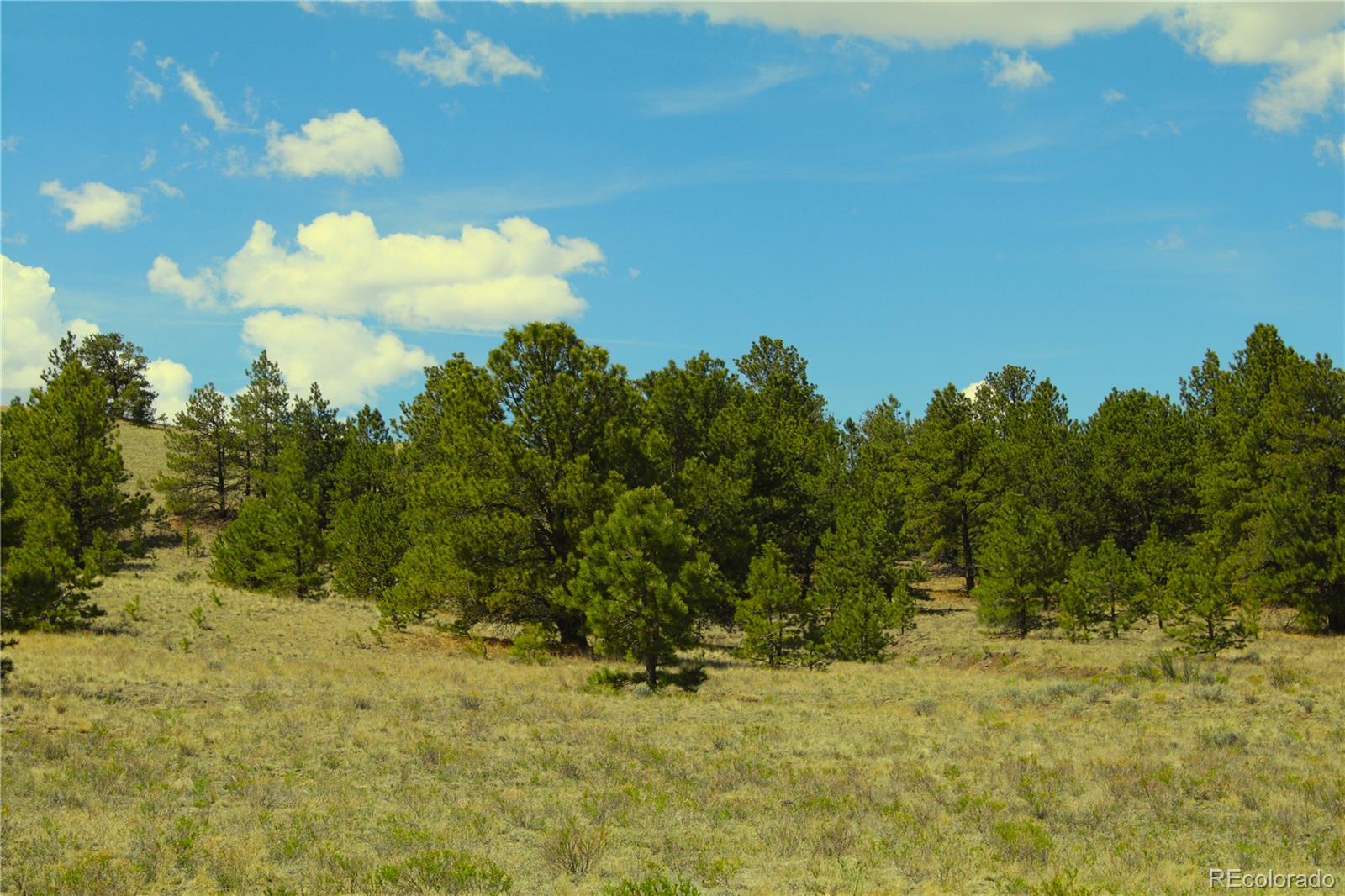 60 Hill Rd, Hartsel, CO 80449