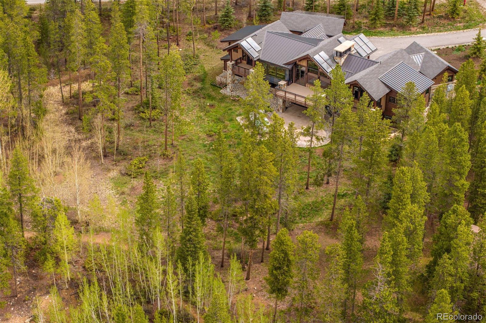 11 Dyer Trl, Breckenridge, CO 80424