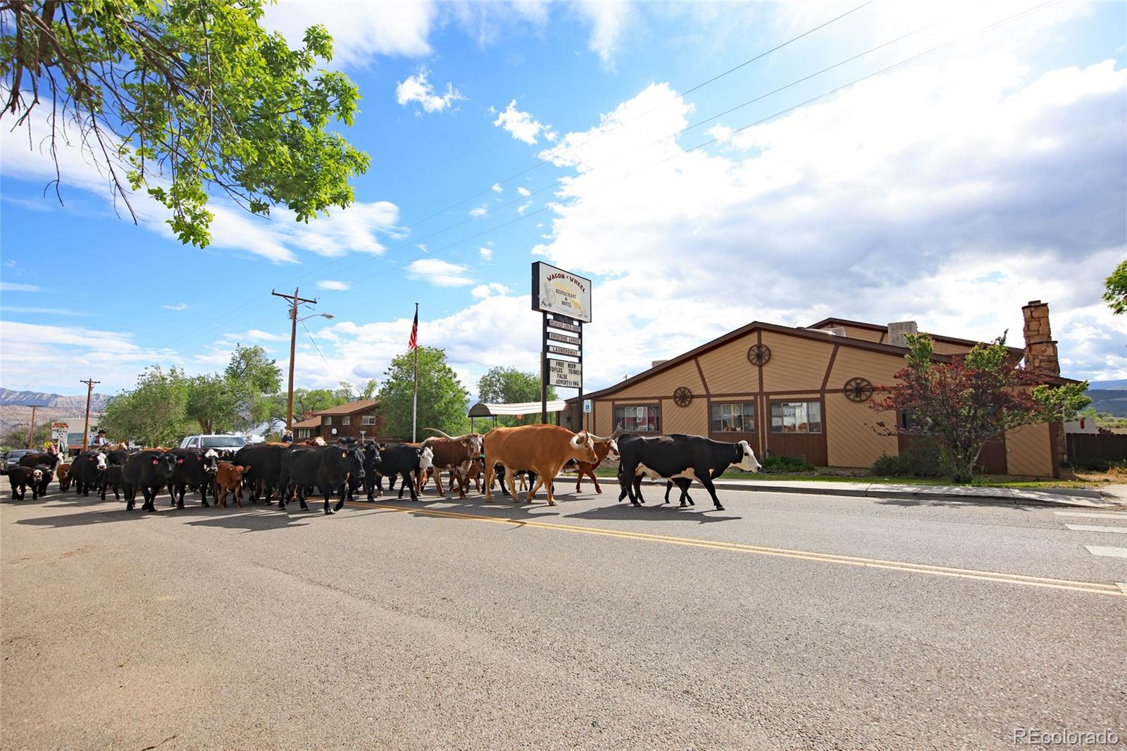 10900 Highway 65, Mesa, CO 81643