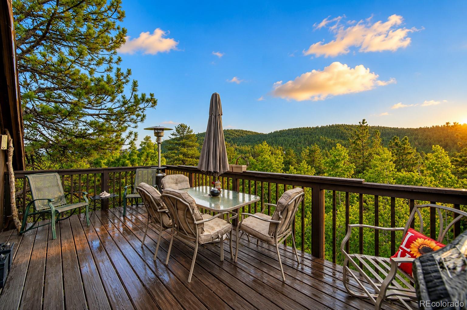 229 Mcdougal Rd, Bailey, CO 80421