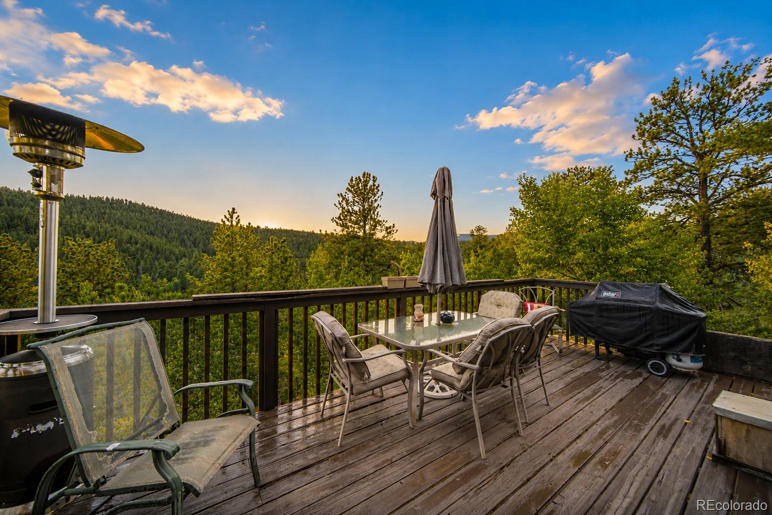 229 Mcdougal Rd, Bailey, CO 80421