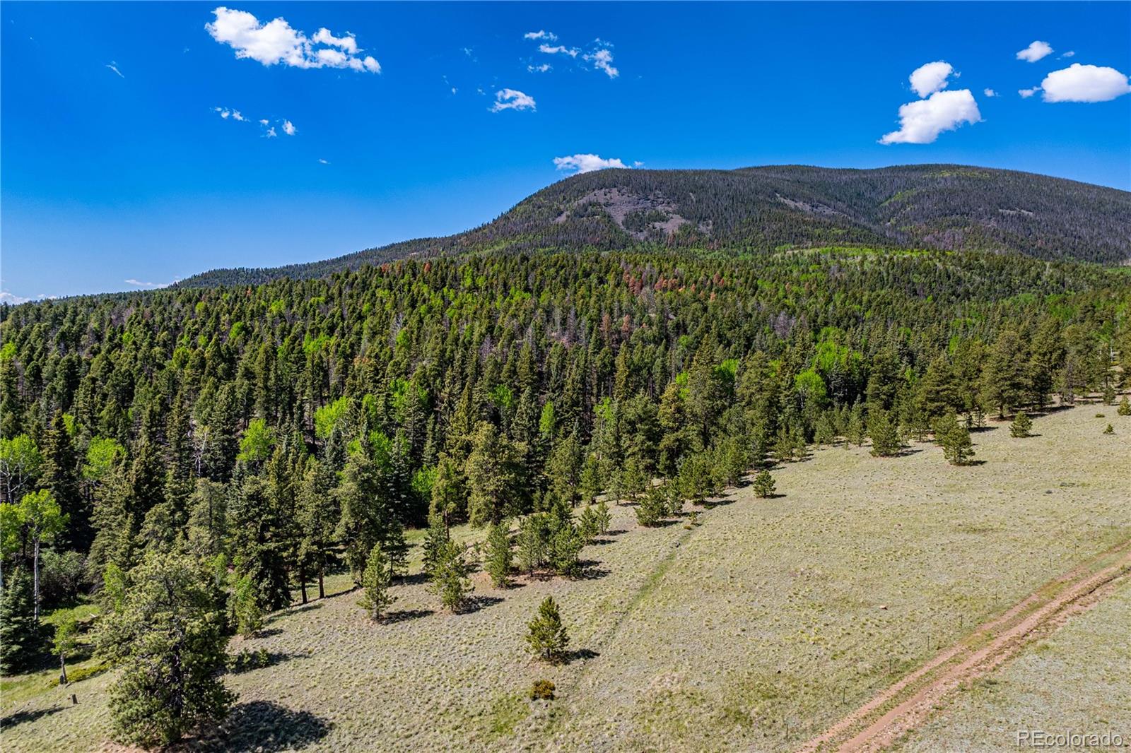 298 Steven Rd, Canon City, CO 81212