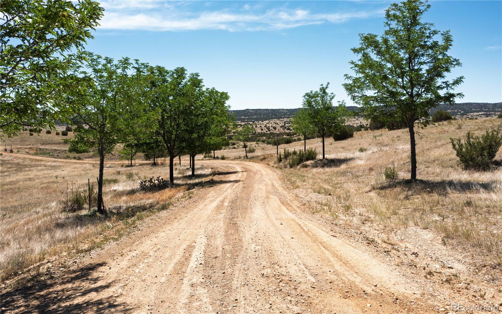 6650 Zercher Rd, Beulah, CO 81023