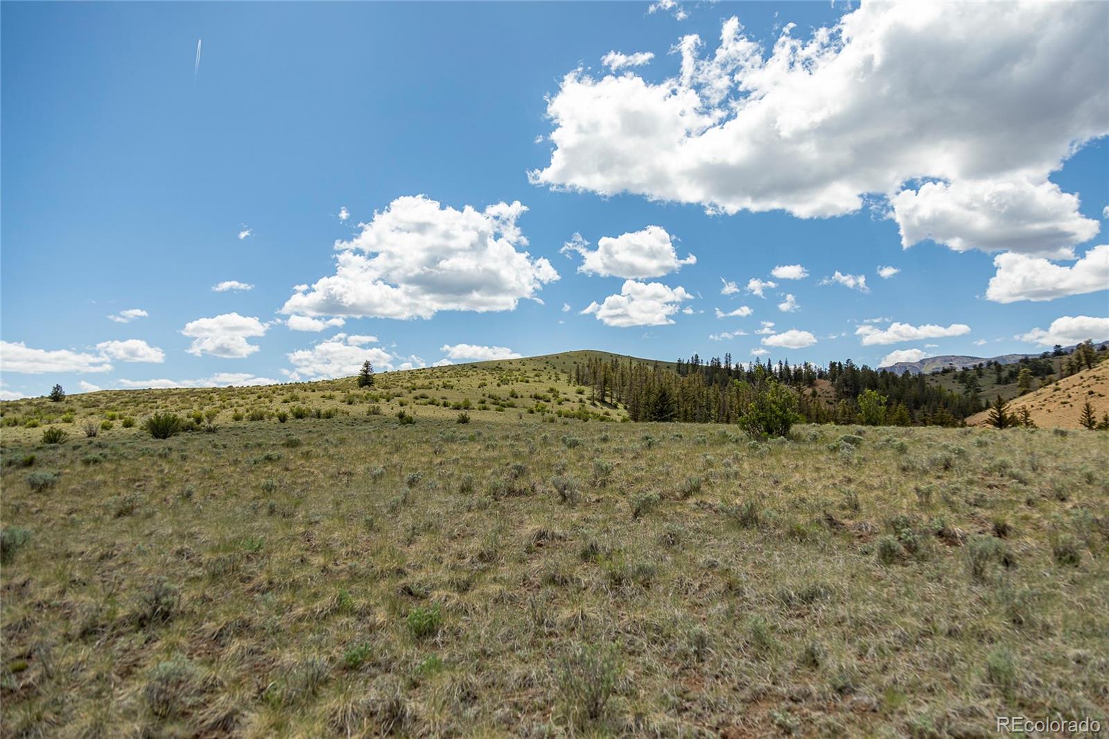 Tbd Hwy 149 #B, Creede, CO 81130