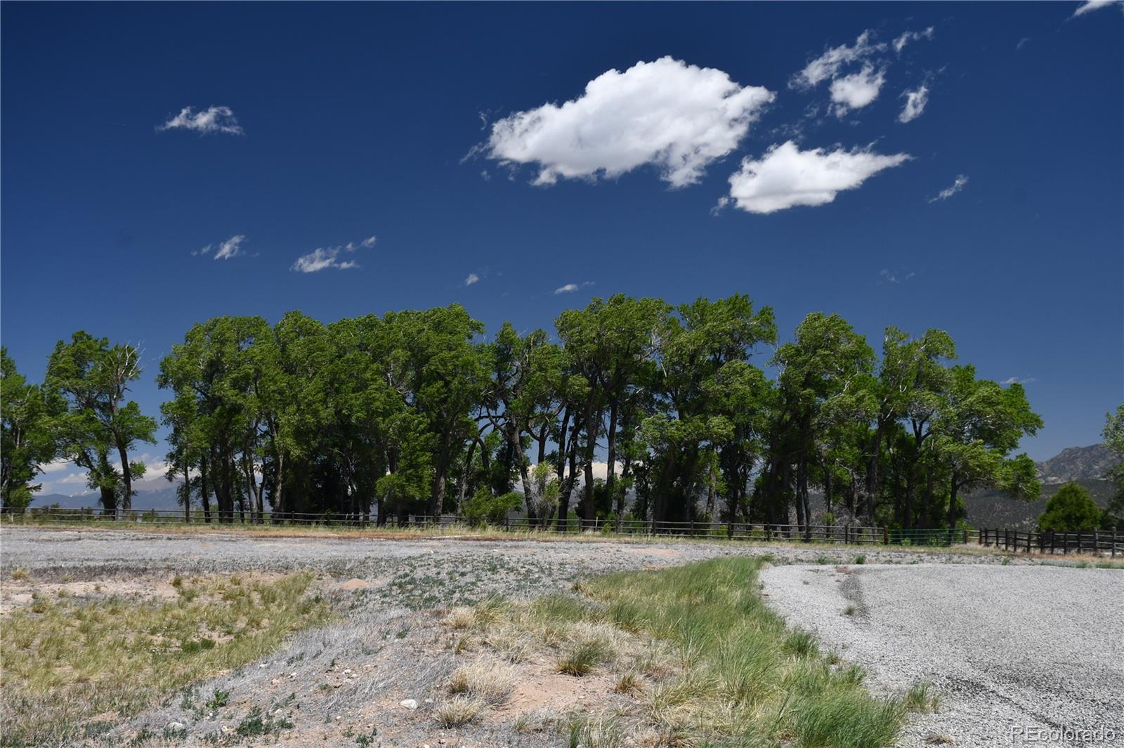 8815 Cameron Meadow Cir, Salida, CO 81201