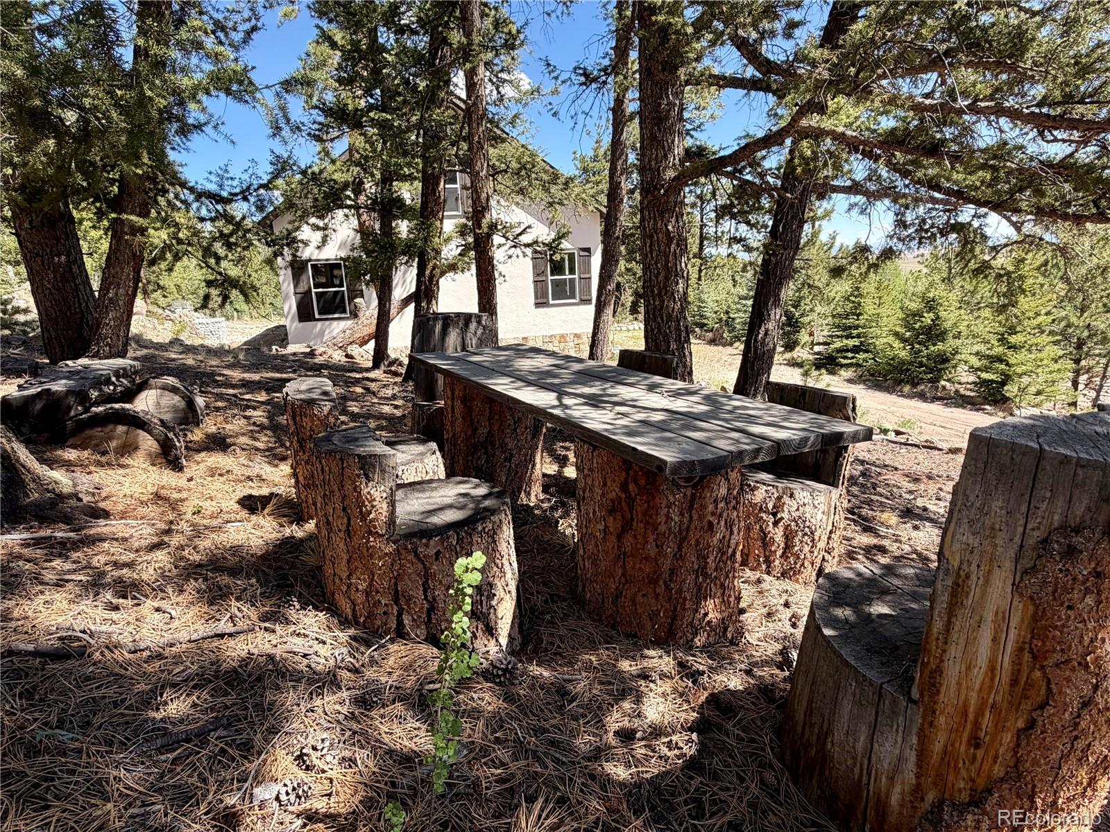 837 Concho Trl, Hartsel, CO 80449