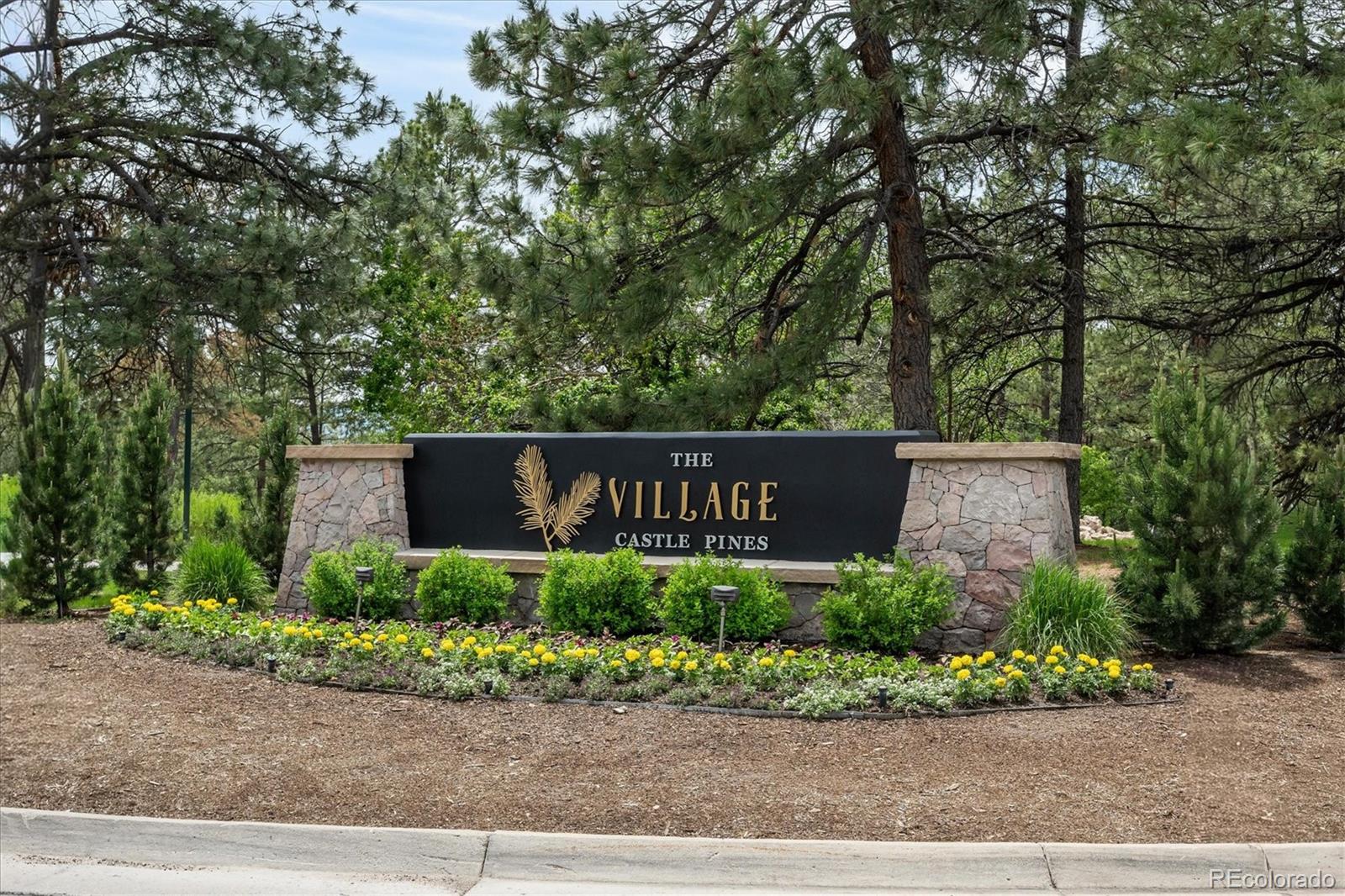 22 Borealis Way, Castle Rock, CO 80108