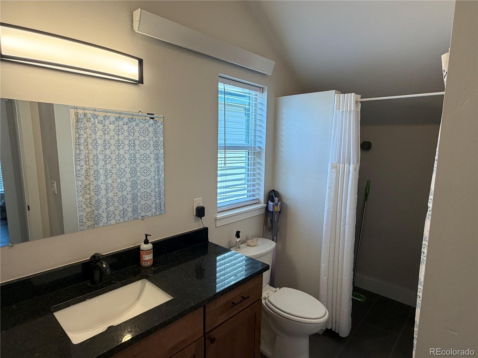 1218 Silver Vault St, Leadville, CO 80461